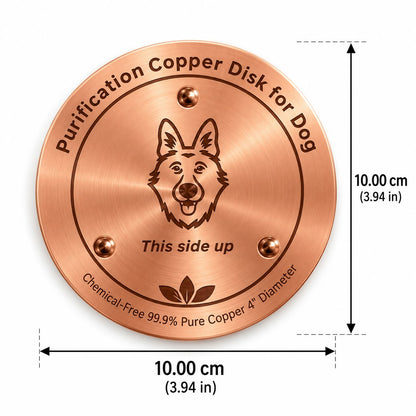 Pet Water-Purifying Disc