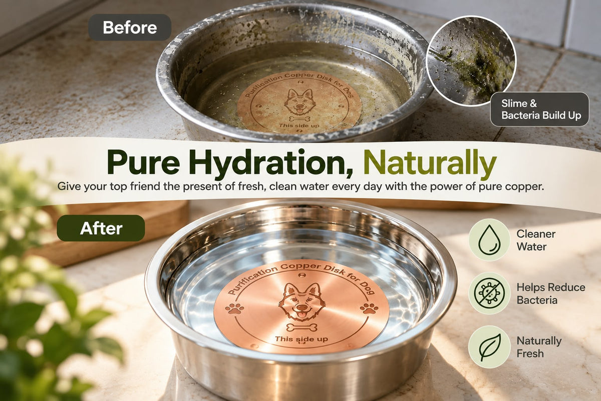 Pet Water-Purifying Disc