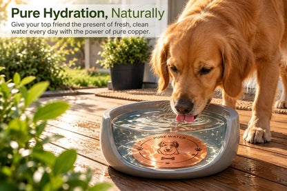 Pet Water-Purifying Disc