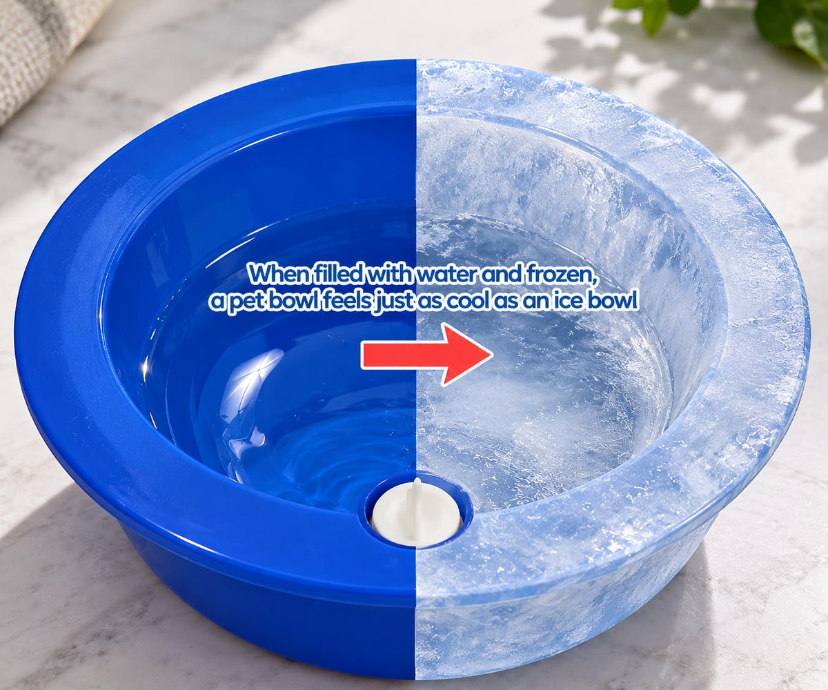 Pet Cooling Bowl
