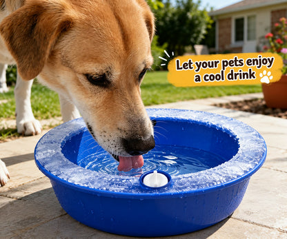 Pet Cooling Bowl