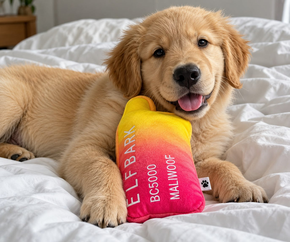Golden puppy beside a pink and yellow plush dog toy