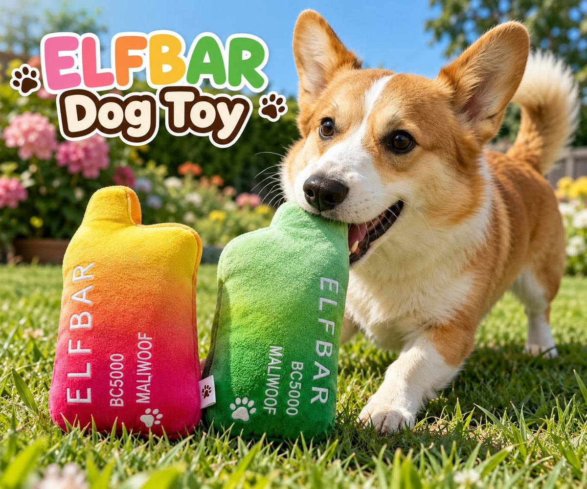 Dog with green and pink-yellow plush toys