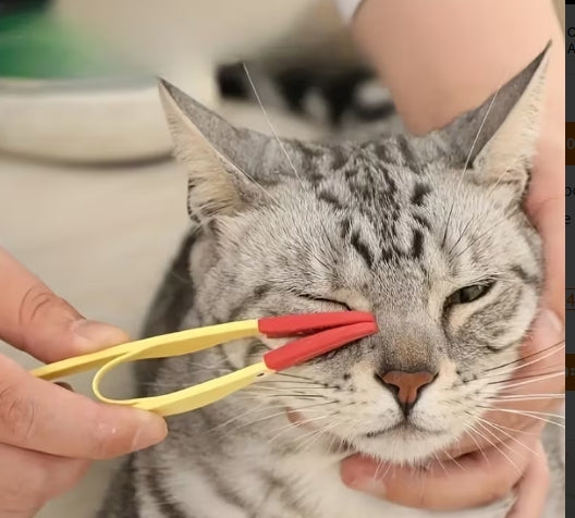 Pet Eye-Cleaning Tool